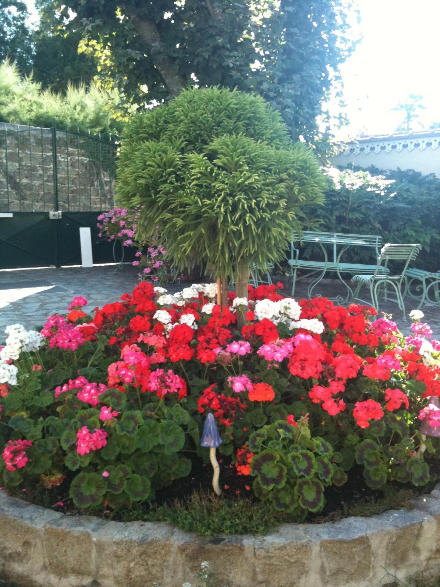 Au Fond De La Cour Bed & Breakfast Veyre-Monton Exterior foto