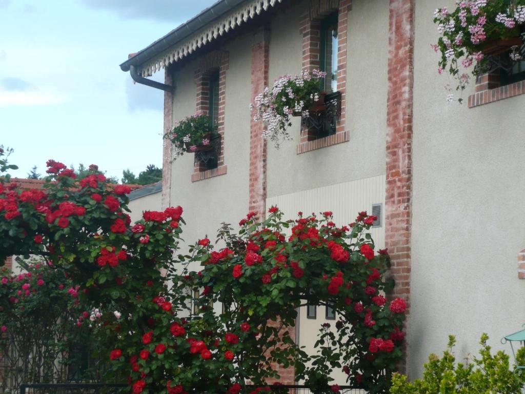 Au Fond De La Cour Bed & Breakfast Veyre-Monton Exterior foto